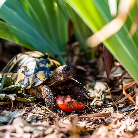 More Апартаменты